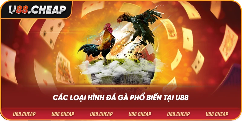Các loại hình đá gà phổ biến tại u88